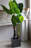 Filodendron Concrete, sztuczna roślina w doniczce