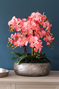 Koralovy, różowy storczyk w metalowej misie, wys.68cm