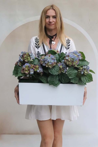 Summer Balcony Blue, niebieskie hortensje w skrzynce balkonowej