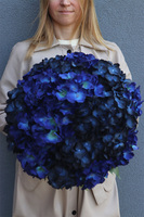 Granatowe Hortensje, bukiet nagrobny we wkładzie do wazonu