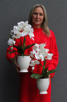 Apolonia Perane Biel, storczyk w ceramicznym pucharze