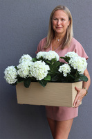 Kolena, sztuczne hortensje na balkon i parapet