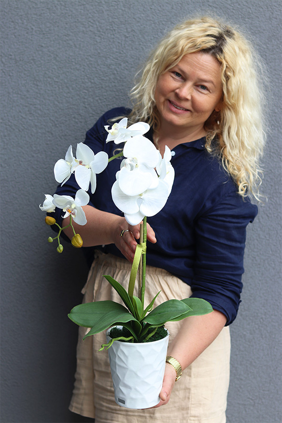 White Berlin, elegancki sztuczny storczyk