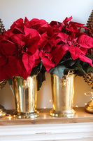 Gwiazda Betlejemska Deluxe Gold, wysokiej jakości sztuczna roślina	