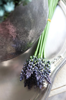 Szafirki, bukiecik niebieski, dł.25cm, 12szt. w bukiecie