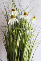 delikatna kompozycja traw z jeżówką, Lotto 2