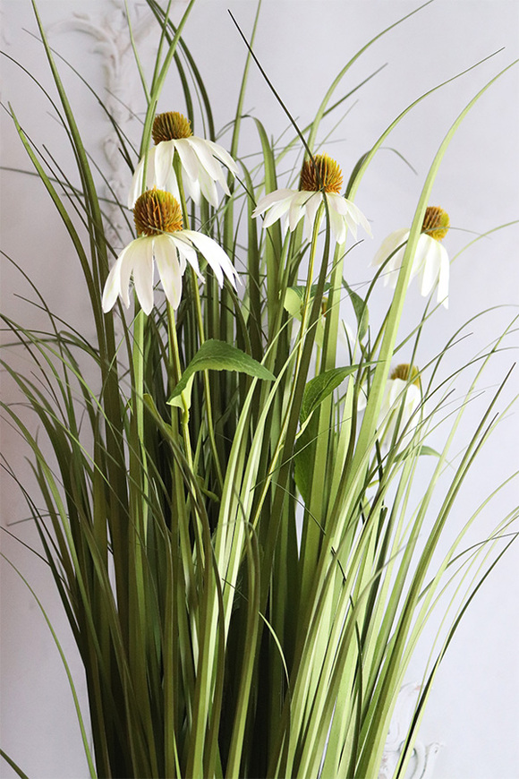 delikatna kompozycja traw z jeżówką, Lotto 2