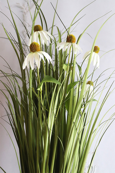 delikatna kompozycja traw z jeżówką, Lotto 2