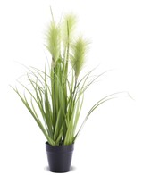 sztuczna trawa Pióropusze, zieleń, wys.54cm