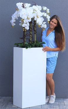 Fiberglass Grande Quadrina, ekskluzywny biały storczyk, wys.174cm