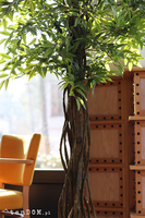 Fikus Benjamin G, sztuczna roślina w doniczce