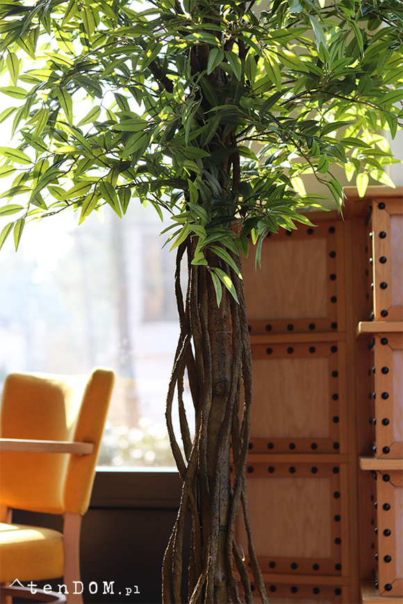 Fikus Benjamin G, sztuczna roślina w doniczce