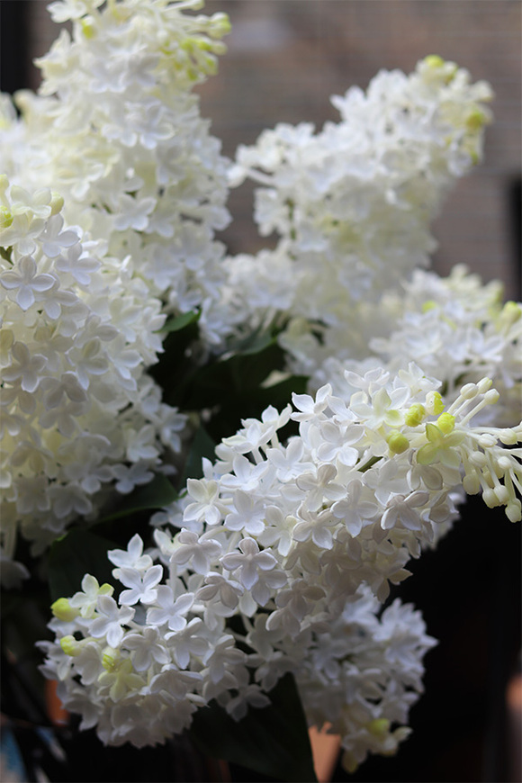 Bzy Deluxe Premium, gumowy bez kwitnący lilak