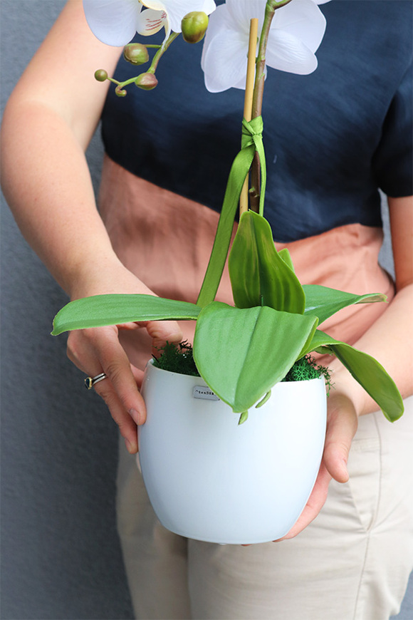 Classico Pure White, śnieżnobiały sztuczny storczyk