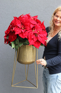 Gwiazda Betlejemska Goldena Mniejsza, wysokiej jakości sztuczna roślina, wym.82x47cm