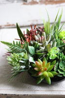 Defia, kompozycja sukulenty w okrągłej donicy, wym.20x27cm 