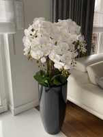 Black Grande Fiberglass, biały storczyk w czarnej donicy z fiberglass (połysk), wys.130cm 