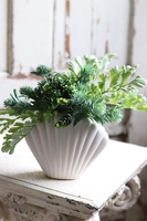 Antylla Shell, kompozycja sukulenty w białej muszli, wym.26x35cm