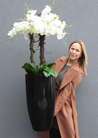 Black Fiberglass Silicone, gumowy storczyk w czarnej donicy z fiberglass, wys.122cm 