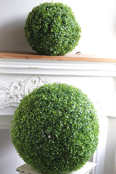 Boxwood, kula bukszpanowa