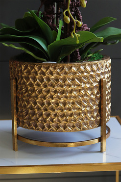 Miłość, karminowy welurowy storczyk, wys.66cm 