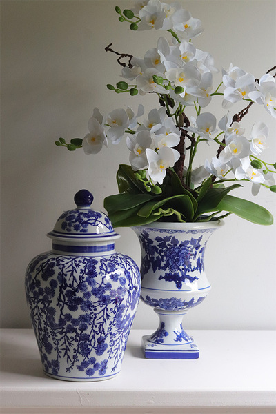 storczyk w ceramicznym pucharze