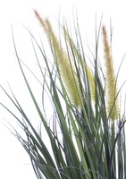 Nicco F, sztuczna trawa z kłosami, wys.46cm