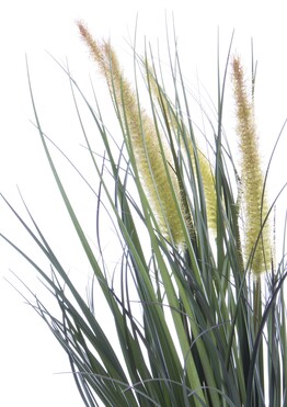 Nicco F, sztuczna trawa z kłosami, wys.46cm
