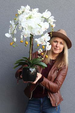 Black Everest, sztuczny storczyk w czarnej donicy, wys.68cm 