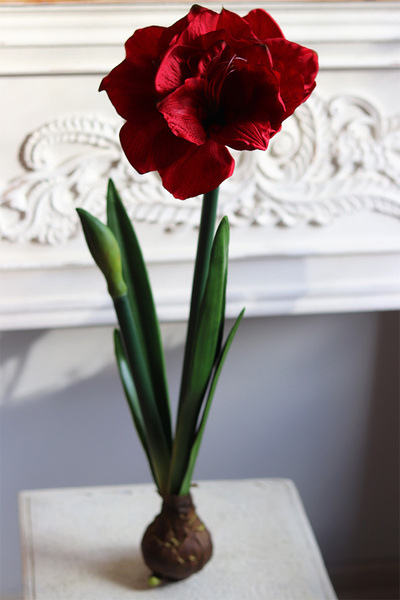 Amarylis Czerwony, sztuczna roślina z cebulką