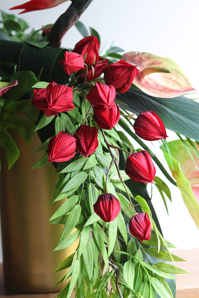 Schiele Premium, strelicja kompozycja w złotej donicy	