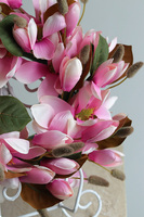 Magnolia Różowa, wianek z kwiatów magnolii