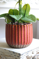 Bedania Etnica, sztuczny storczyk w metalowej osłonce