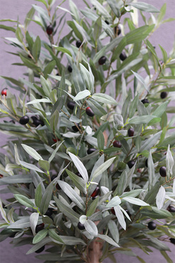 Oliwka New, sztuczne drzewko w osłonce, wym.170cm