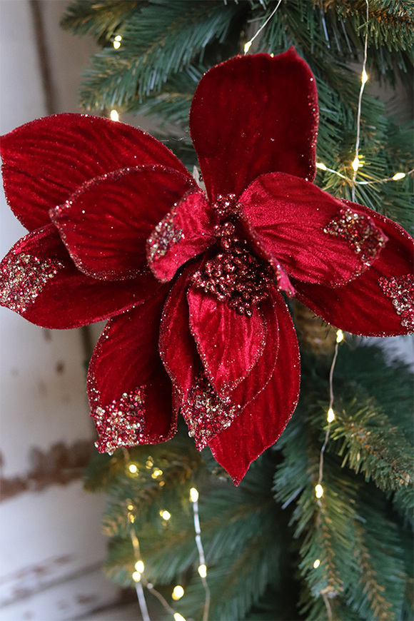 Gwiazda Betlejemska, świąteczny kwiat poinsecji z klipsem, czerwona