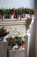 Figaro Hilton Mini, świąteczny stroik z jagodami