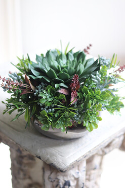 Maria Jalote, kompozycja sukulenty w lustrzanej donicy, wys.14cm