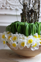 Narcyz, wielkanocny stroik w misie