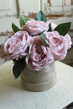 beżowy welurowy flowerbox z piwoniami, Severna Romantic, wys.24cm