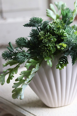 Antylla Shell, kompozycja sukulenty w białej muszli, wym.26x35cm 