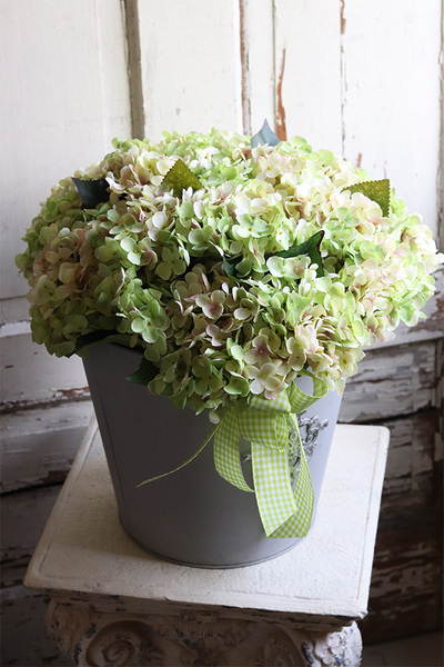 hortensje w metalowym naczyniu, Miledy Nesta, wym.44x40cm