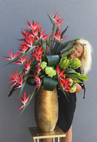 Princera Rubinowa Strelicja 2, kompozycja w złotej donicy