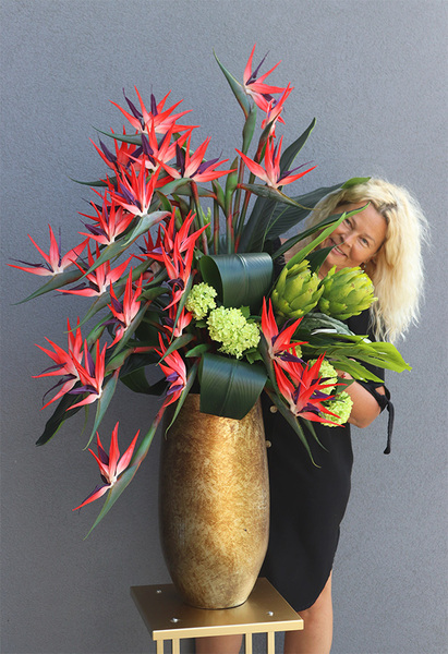 Princera Rubinowa Strelicja 2, kompozycja w złotej donicy