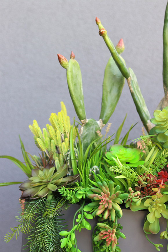 Cacti Grey Fiberglass 2, sukulenty ze kaktusem w szarej donicy