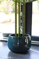 Bambus Ares, sztuczna roślina w donicy