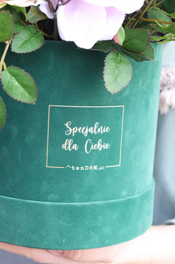 Cedila Green Velvet, wiosenny flowerbox z tulipanami, wys.51cm 