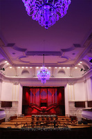 Opera Blue, kompozycja kwiatowa w donicy