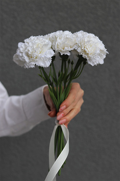 OD RĘKI Cloves, bukiet kwiatów goździki, 7szt, białe, dł.30cm