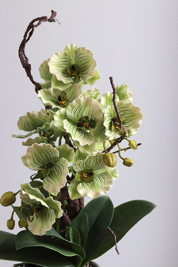 Pistacio, zielony sztuczny storczyk w ozdobnej donicy