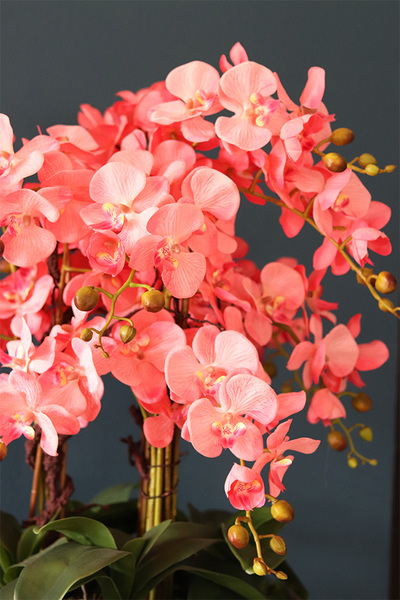 Koralovy, różowy storczyk w metalowej misie, wys.68cm